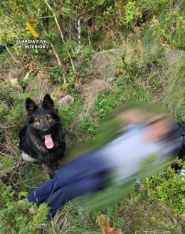 Rdo. Datos Y Enlace Video Localización Desaparecido