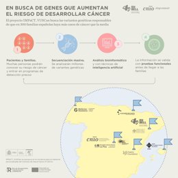 El CNIO y el IDIBELL/ICO ponen en marcha el proyecto 'IMPaCT_VUSCan', que buscará con IA millones de variantes genéticas para encontrar las que más más influyen en la predisposición al cáncer.