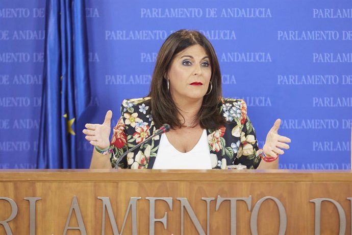 Ángeles Férriz en una comparcencia en el Parlamento.