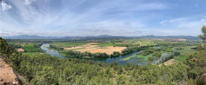 Impulsan la "mejora ambiental" del río Ebro entre Ascó y Miravet (Tarragona) con un nuevo protocolo de colaboración.