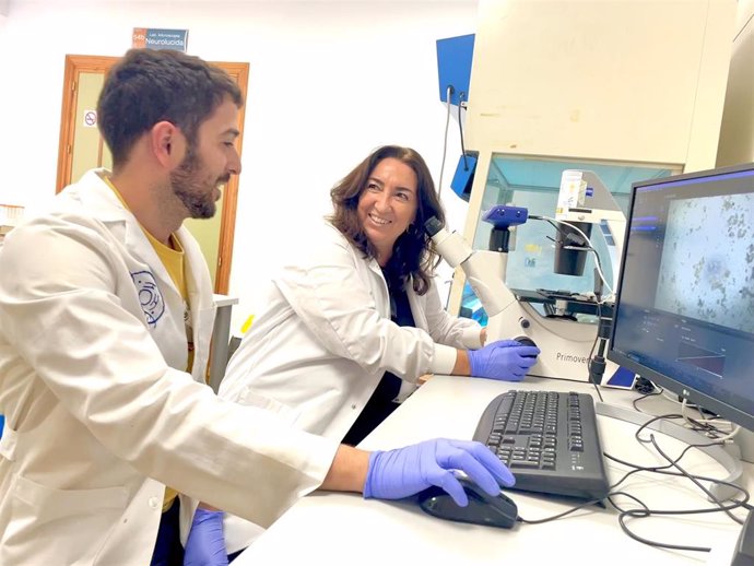 Un grupo de investigadores pertenecientes a las áreas de Fisiología, Química Orgánica y Anatomía de las universidades de Sevilla y Cádiz ha liderado este trabajo que ha culminado con el hallazgo de una nueva molécula que mejora la memoria.