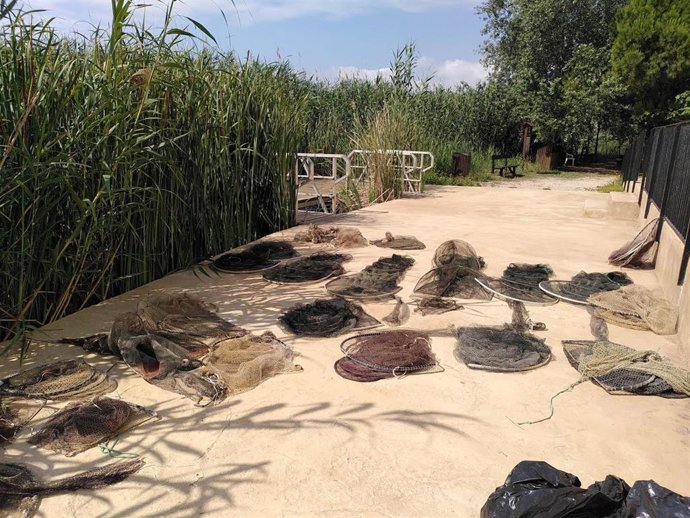 Localizan siete tortugas en el Cercado de la Pipa