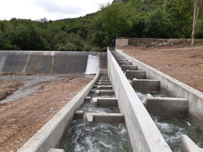 La CHE finaliza los pasos de peces en los canales del río Najerilla en La Rioja