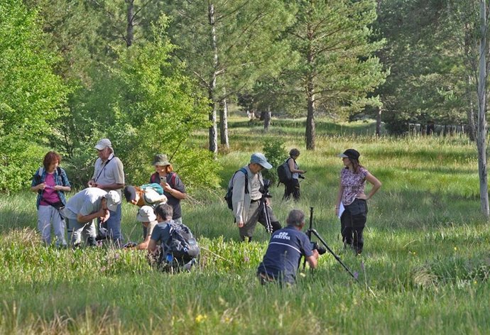 Las VII Jornadas de Orquídeas Sierra de Albarracín se celebrarán del 3 al 5 julio.