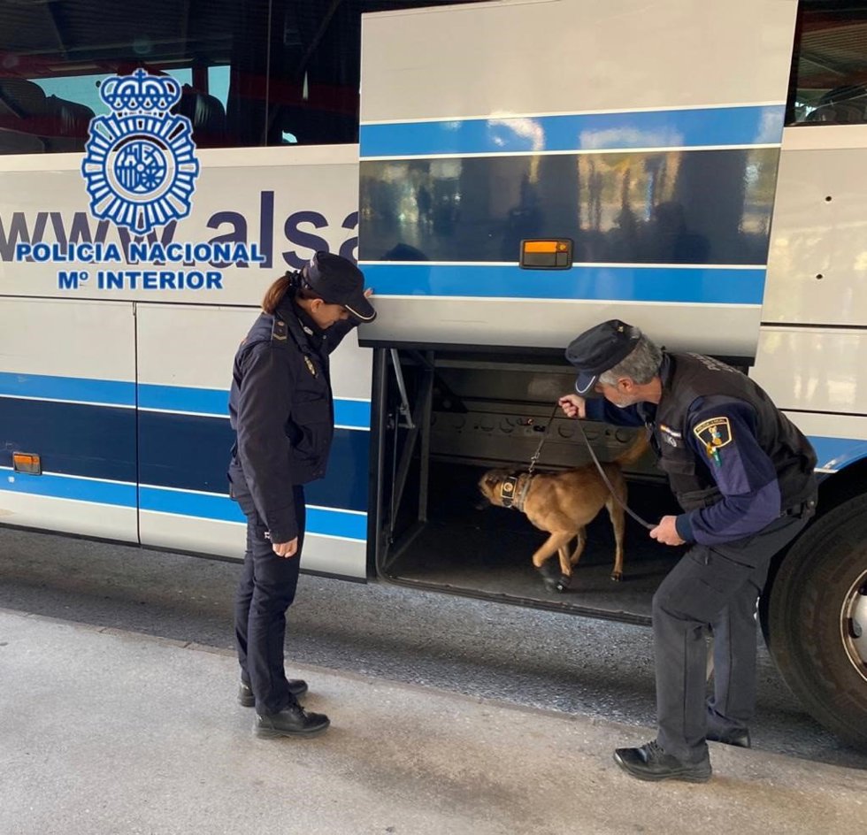 Detenida en la estación de autobuses de Alicante una mujer con más de 6 kilos de hachís