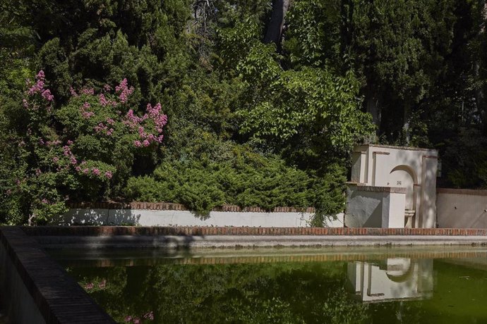 Archivo - Estanque en el parque Quinta de los Molinos, a 24 de julio de 2022, en el distrito de San Blas-Canillejas, Madrid (España). La Quinta de los Molinos y El Retiro son dos de los nueve parques que cierra esta tarde el ayuntamiento de Madrid ante 