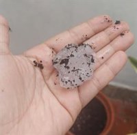 Una fuerte tormenta de granizo deja tres heridos leves, calles cortadas por ramas y avería de semáforos en València