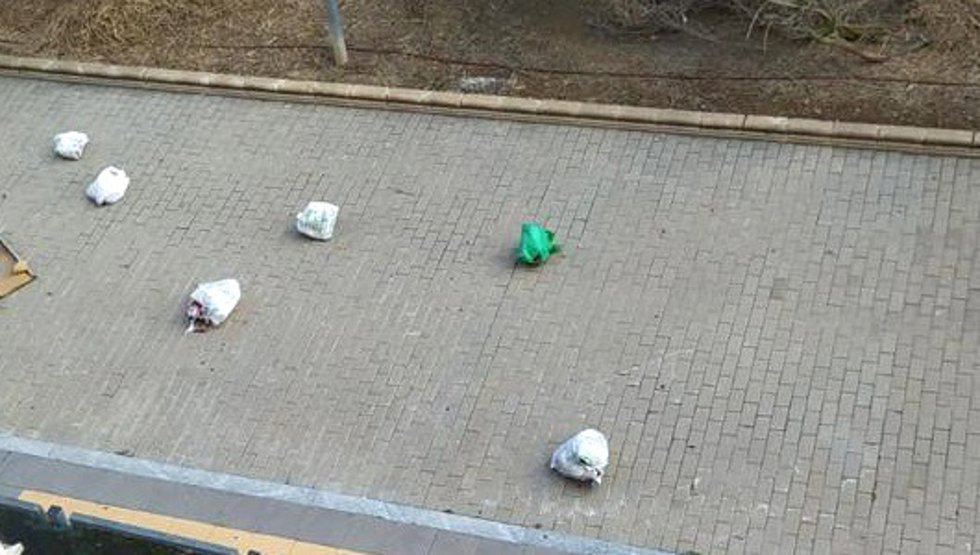 Basura en una de las calles que rodean el inmueble con 'okupas' en Arroyo de la Encomienda (Valladolid).