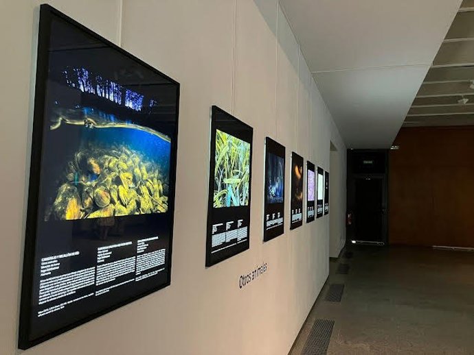 La exposición 'European Wildlife Photographer of the Year 2023' se podrá ver hasta el 3 de septiembre en la Casa de las Ciencias