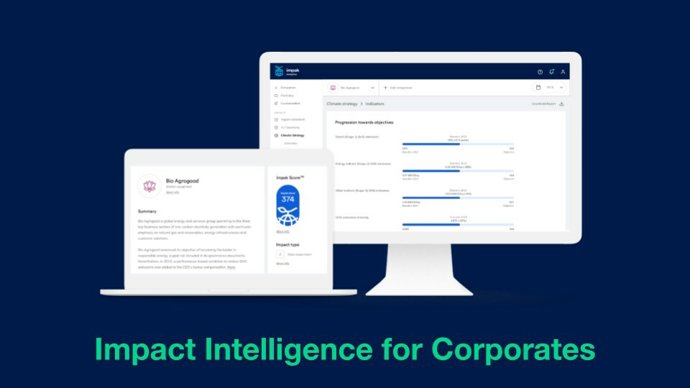 From ESG to impact