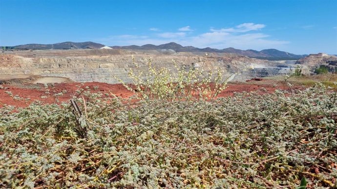 Mina de Atalaya Mining en Riotinto (Huelva).