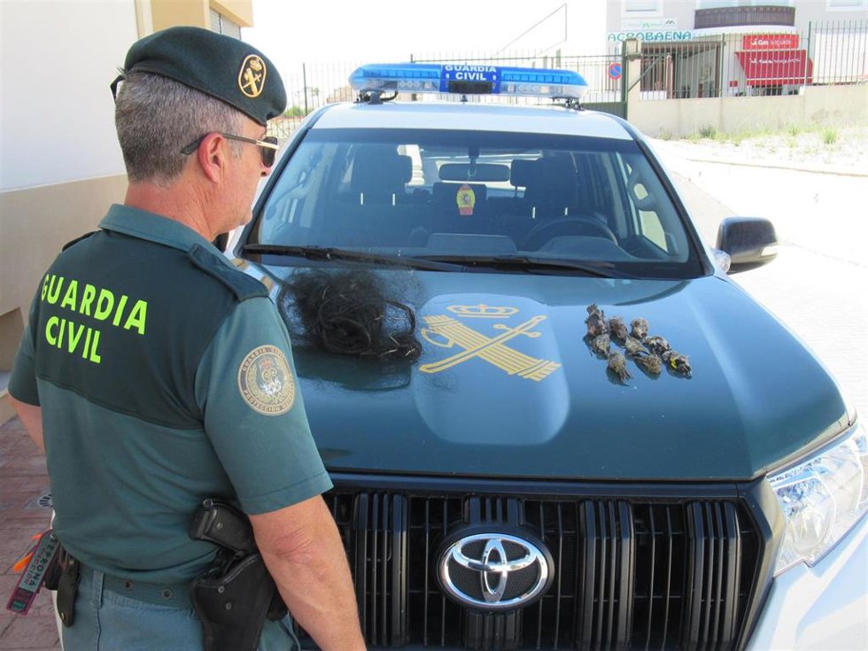 Aves muertas y 'costillas' intervenidas por los agentes del Seprona.