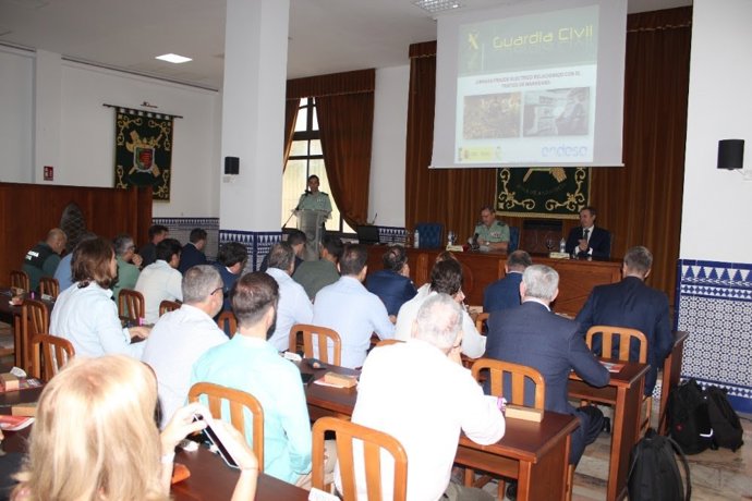 Jornadas de Endesa y la Guardia Civil sobre el fraude eléctrico