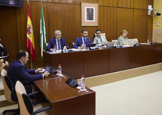 El consejero de Sostenibilidad, Medio Ambiente y Economía Azul, Ramón Fernández-Pacheco, en comisión parlamentaria