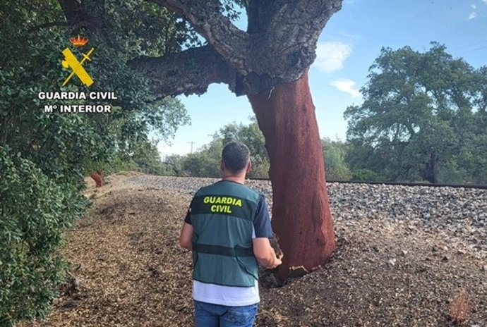Un agente de la Guardia Civil junto a un alcornoque.