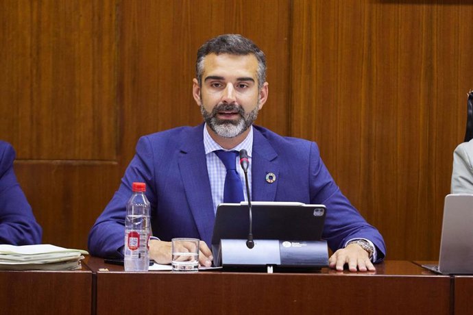 El consejero Ramón Fernández-Pacheco, en comisión parlamentaria