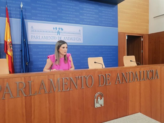 La portavoz adjunta del Grupo Socialista, María Márquez, este miércoles en rueda de prensa.