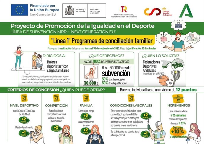 Infografía ilustrativa de las diferentes líneas de subvención de la convocatoria.