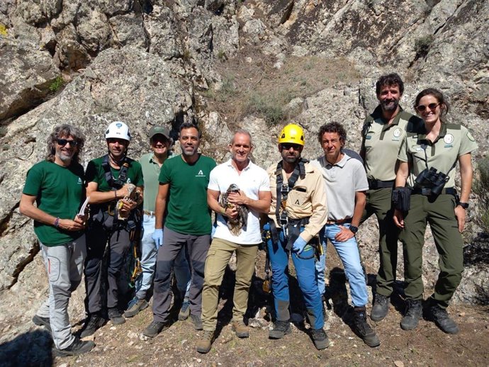 Trabajadores en el anillamiento de alimoches.