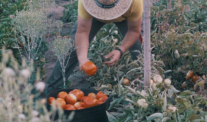 Un trabajador de Cortijo La Reina.