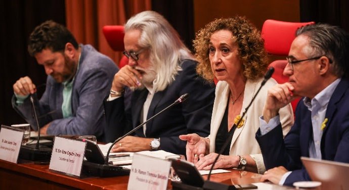 La consellera de Territori, Ester Capella