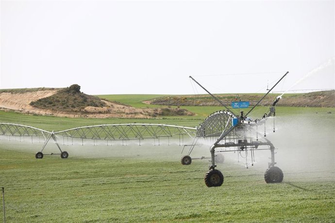 Archivo - Regadíos por aspersor