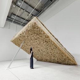Una de las obras de Tadao Cern.