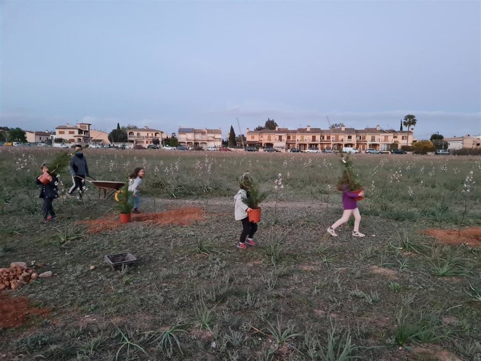 Archivo - Vecinos de Son Bonet durante la plantación de árboles en la zona en la que AENA tiene intención de instalar un parque fotovoltaico.