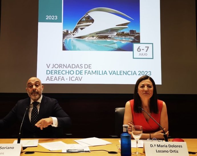 V Jornadas de Derecho de Familia AEAFA-ICAV
