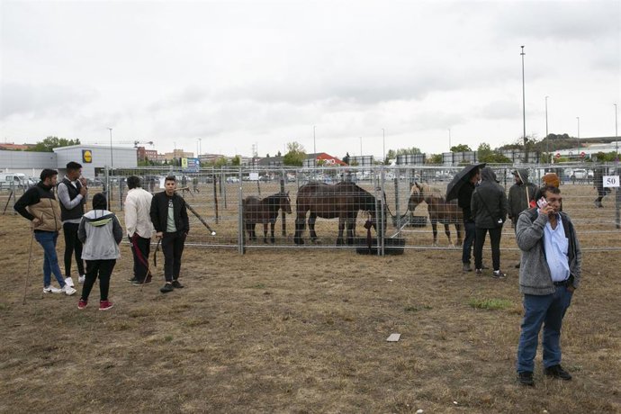 Archivo - Feria de ganado equino de San Fermín.