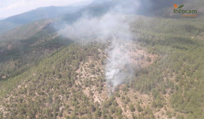 Incendio forestal declarado en Villar del Humo (Cuenca)