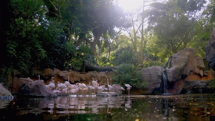 El agua, recurso vital para garantizar bienestar de los animales que habitan en Bioparc Fuengirola