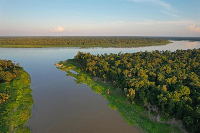 Archivo - Amazonas, Brasil
