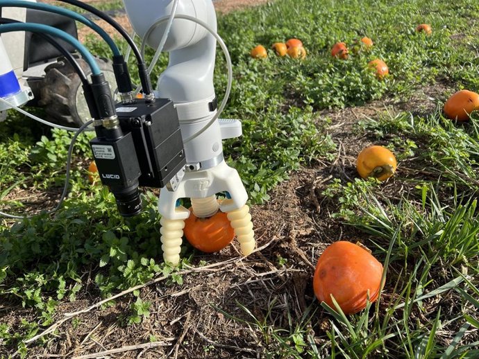 Robot brazo de Ainia