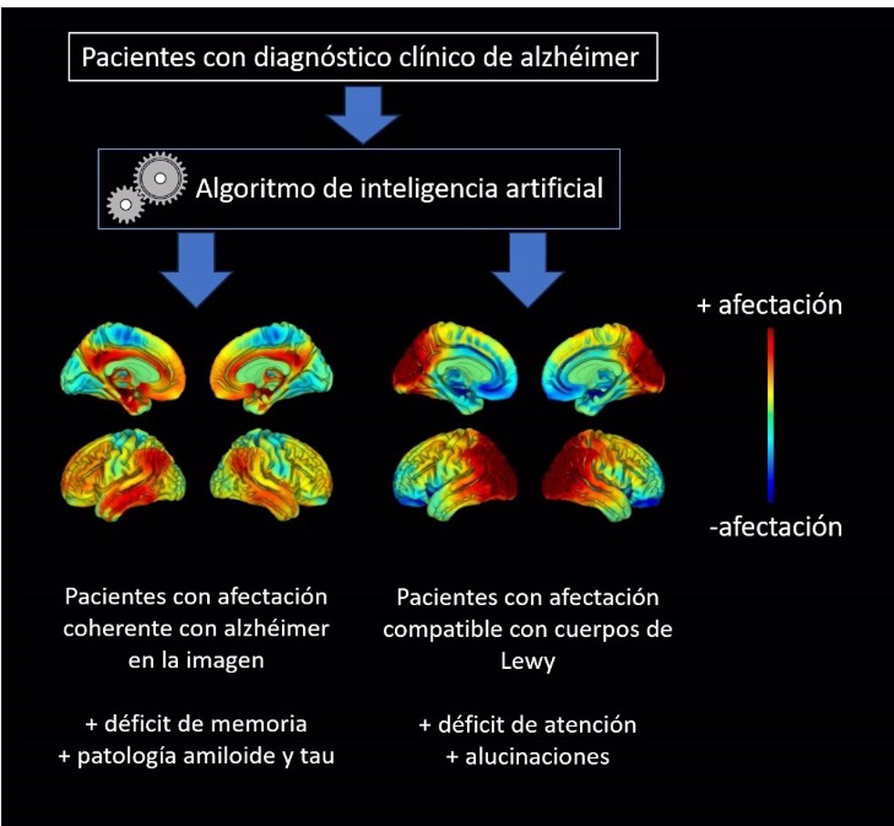 Infografía ilustrativa sobre las técnicas de imagen médica.