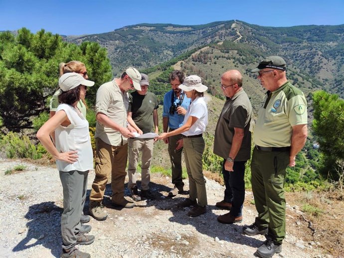 La Junta realiza un seguimiento a los bosques del Parque Natural de las Sierras de Tejeda, Almijara y Alhama