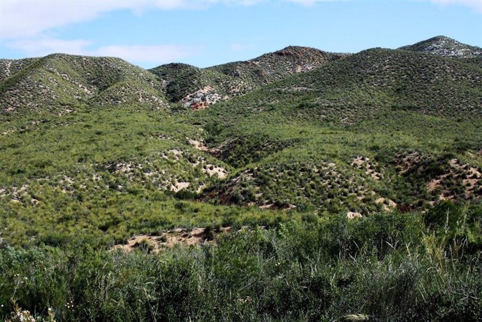 Montes de espartizal en Calasparra