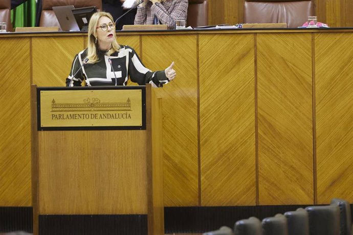 Archivo - La consejera de Economía, Carolina España, en una imagen de archivo en el Pleno del Parlamento.
