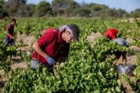 CCOO-A reactiva su campaña de sensibilización 'Ojo con el calor' ante los riesgos para la salud por estrés térmico