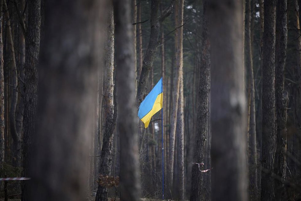 Archivo - Bandera ucraniana en un bosque de la región de Kiev