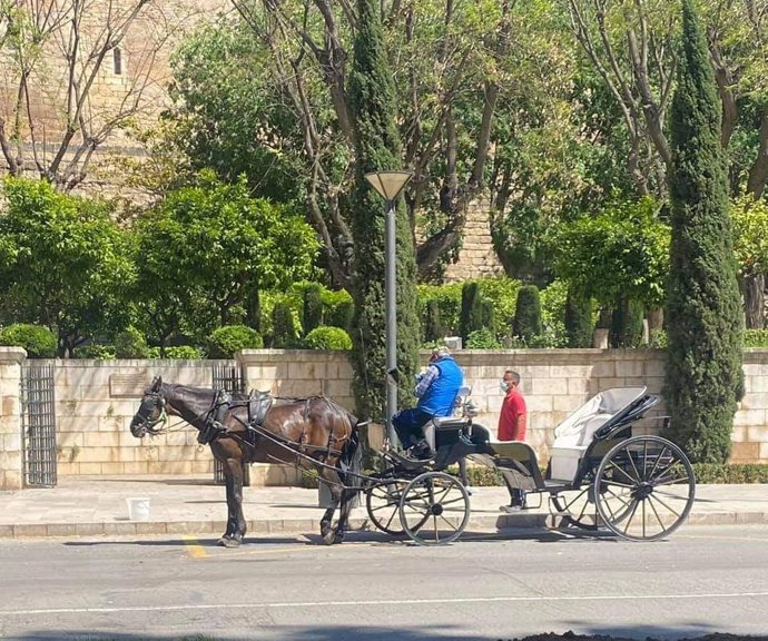 Imagen de una calesa en la calle Antoni Maura.