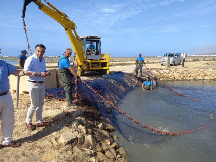 David Gil en Cupibar.