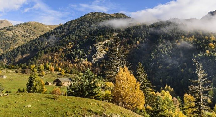 Vista dels Pirineus