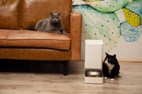 comedero inteligente para mascotas Xiaomi Smart Pe