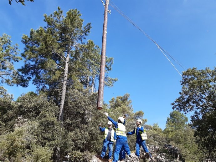 Operarios de Endesa colocando un nuevo soporte para una línea de electricidad de media tensión en la província de Tarragona.