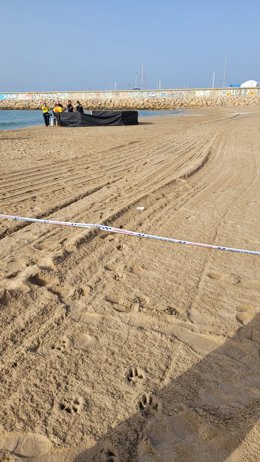 Platja on s'ha trobat el cadver del nen a Roda de Ber (Tarragona)