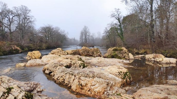 Archivo - Río en Cangas de Onís.