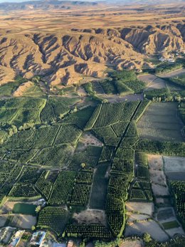 Archivo - El Gobierno contribuye con 400.000 euros a organizaciones agroindustriales internacionales. 