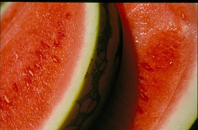 ASAJA ALICANTE ATRIBUYE EL DESABASTECIMIENTO DE SANDÍAS AL RECORTE DEL TRASVASE TAJO SEGURA