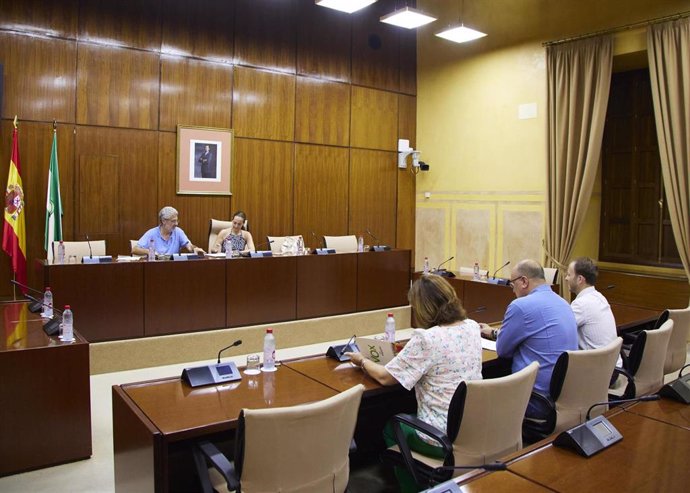 Reunión de la comisión de investigación sobre la Faffe en el Parlamento andaluz.